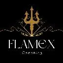 Logo Flamex Collective