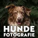 Logo Hunde<mark>foto</mark>grafie Tipps & Tricks