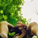 Logo Like-Minded Klub