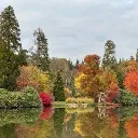 Logo Burned to Beyond