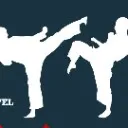 Logo Google Mastery - Martial Arts