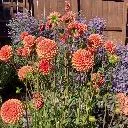 Logo The Natural Gardening Group