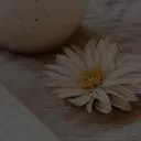 Logo HER STRENGTH SPEAKS