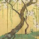 Logo Top Performer's Network