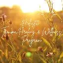 Logo Holistic <mark>Trauma</mark> Healing