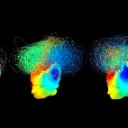 Logo Holistic Dynasty