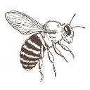 Logo Honey Bee Rescue Technician