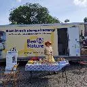 Logo Grow a 100k/year Bee Business