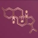 Logo The Hormone Hub