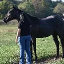 Logo How To Train a Dragon