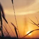 Logo The Art Of Self-Connection