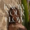 Logo Know Your Flow