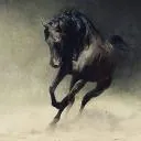 Logo Learn Photography Together