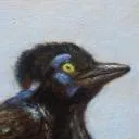 Logo The Wilderness <mark>Atelier</mark>