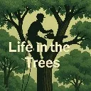 Logo Life in the trees 🌳