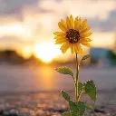 Logo Life Interruptions Community