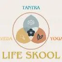 Logo Life Skool