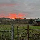 Logo Joy in the <mark>morning</mark>