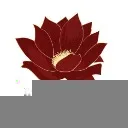 Logo Peaceful Growth Journeys