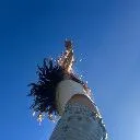 Logo Luisol Community