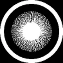 Logo Manifestation That Works