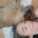 Logo El Candil SensibleMultiespecie