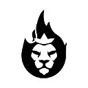 Logo Solve & Scale with Mo