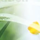 Logo Meridian Klopftechnik T<mark>app</mark>ing