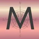 Logo 💸 Money Safety Map 🧭