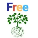 Logo Tame The Migraine Free Course