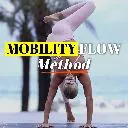 Logo Mobility Flow Method
