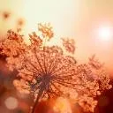 Logo MOMfidence - Private Circle