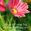 Logo my next level <mark>church</mark>