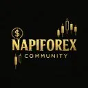 Logo <mark>Napi</mark>forex