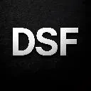 Logo Digital Success <mark>Formula</mark>