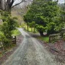 Logo Natural healing skool