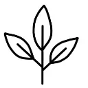Logo Natural Skin & Allergy Method