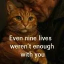 Logo No More Purrs. Cat Loss Group.