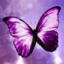 Logo Not Today, <mark>Lupus</mark>