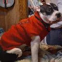 Logo Of a certain age intelligence