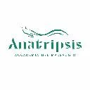 Logo Anatripsis