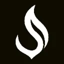 Logo Shine thru Social Academy