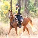 Logo Our Little Farm School