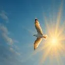 Logo Healing in Relationships