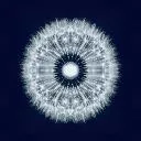 Logo Passive <mark>Profits</mark>