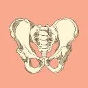 Logo Pelvic Floor & Core Collective