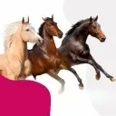 Logo Pferde 🐴 Community