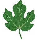 Logo Emotional Intelligence Party