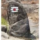 Logo Pink <mark>Tantra</mark> Towards Awakening