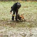 Logo Play with Purpose - The Lab